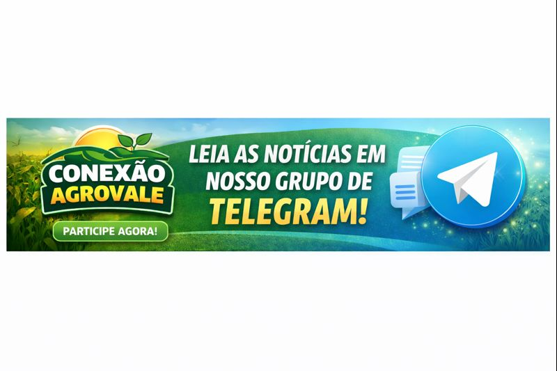 /apidata/imgcache/2570afec0d5946fee8da4cc830e4fc2c.png?banner=col4&when=1770202514&who=127