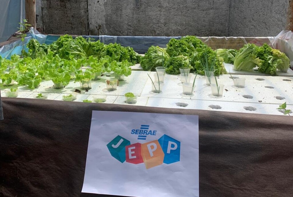 Sebrae-SP impacta mais de 10 mil estudantes do Vale com educação empreendedora