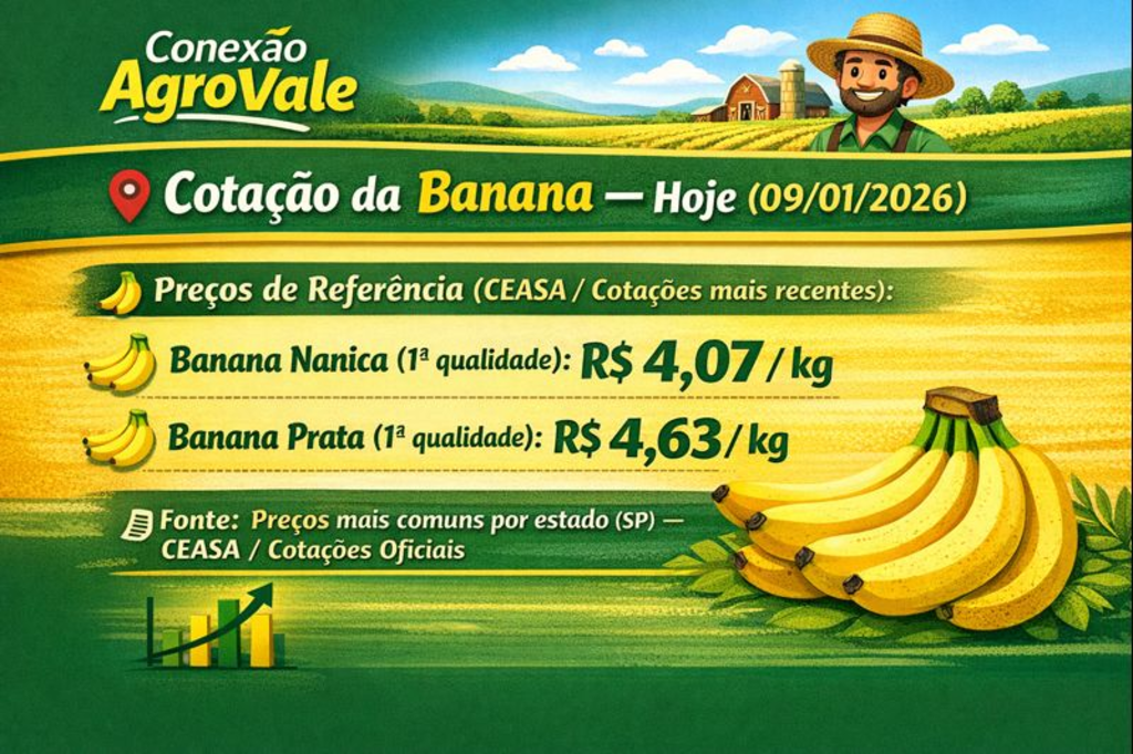 /apidata/imgcache/721d16c498c79b63286ea7141fba9461.png?banner=header&when=1770208333&who=127