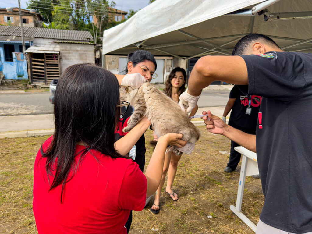 Prefeitura de Sete Barras amplia Campanha de Vacinação Antirrábica e avança para a área rural